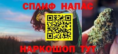 прущие грибы Краснознаменск