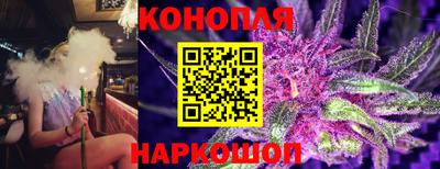 прущие грибы Краснознаменск
